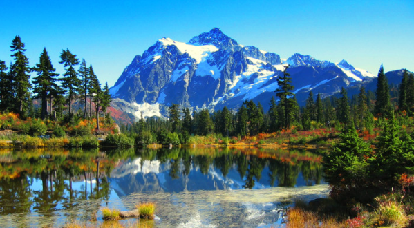 The Fall Foliage At These 10 Places In Washington Is Stunningly Beautiful