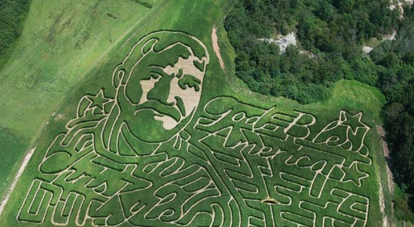8 Awesome Corn Mazes In Georgia You Have To Do This Fall