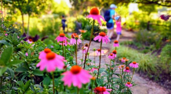 Here Are The 10 Most Beautiful Gardens You’ll Ever See In Texas