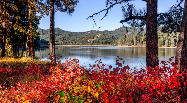 10 Things Everyone In Washington Does During The Fall Season