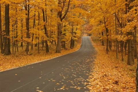 10 Things That Everyone In Indiana Does During The Fall Season
