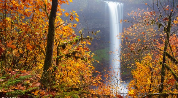 The Fall Foliage At These 8 State Parks In Oregon Is Stunningly Beautiful