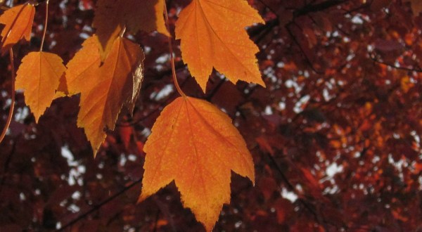 10 Undeniable Signs That Fall Is Officially Here In Oregon