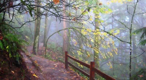 10 Amazing Trails That Every Oregonian Must Hike This Autumn