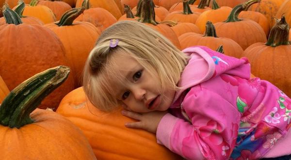 Don’t Miss These 10 Great Pumpkin Patches In Wisconsin This Fall