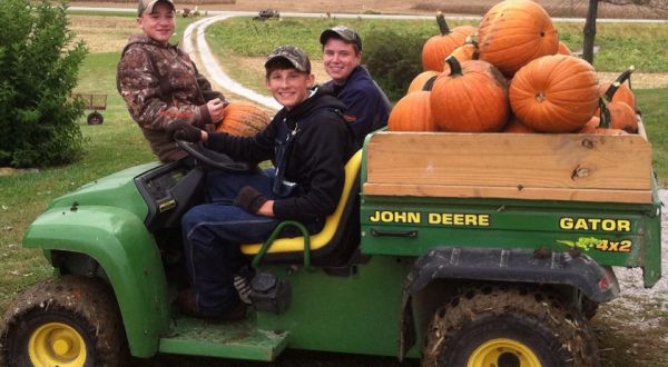 Don’t Miss These 10 Great Pumpkin Patches In Illinois This Fall