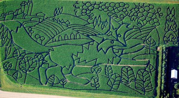 9 Awesome Corn Mazes In Wisconsin You Have To Do This Fall