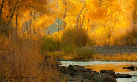 You Absolutely Must Visit These 10 Awesome Places In Nevada This Fall Season