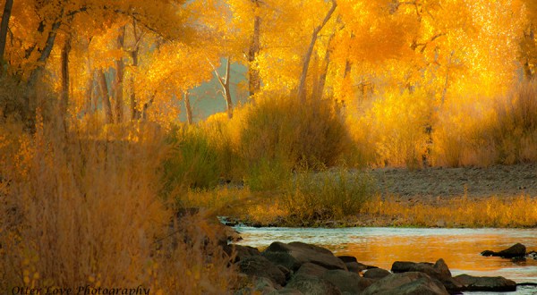 You Absolutely Must Visit These 10 Awesome Places In Nevada This Fall Season