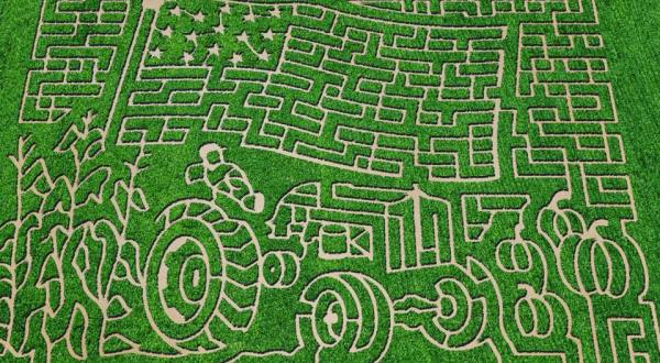 8 Awesome Corn Mazes In Arizona You Have To Do This Fall