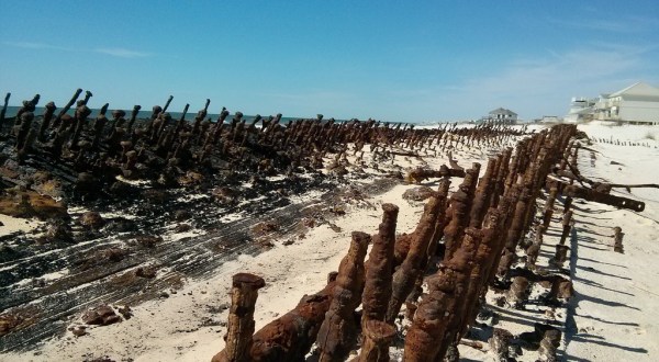 What Washed Ashore During Hurricane Isaac In Alabama Is Unbelievable