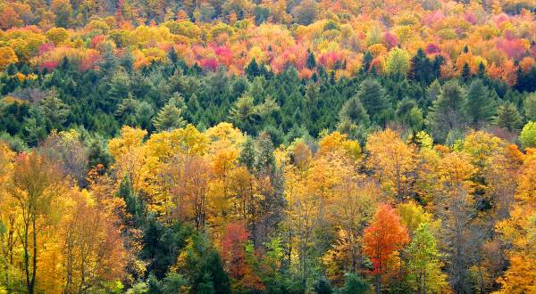 9 Undeniable Signs That It’s Fall In Vermont