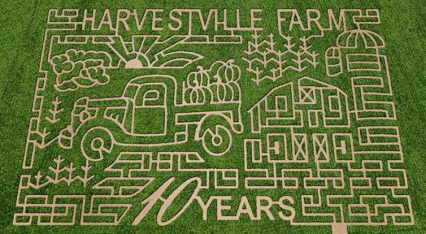 10 Awesome Corn Mazes In Iowa You Have To Do This Fall