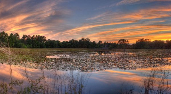 12 Times The Sun Made Georgia The Most Beautiful Place On Earth