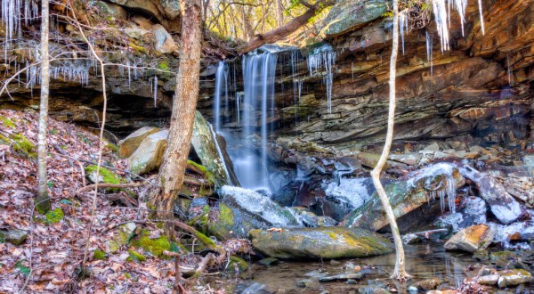 You’ll Be Blown Away By These 10 Amazing State Forests In Tennessee