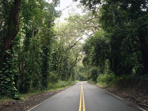 Don’t Drive Down These 10 Haunted Roads In Hawaii Or You’ll Regret It