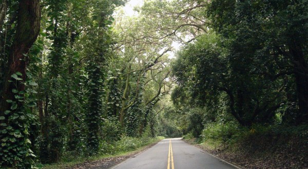 Don’t Drive Down These 10 Haunted Roads In Hawaii Or You’ll Regret It