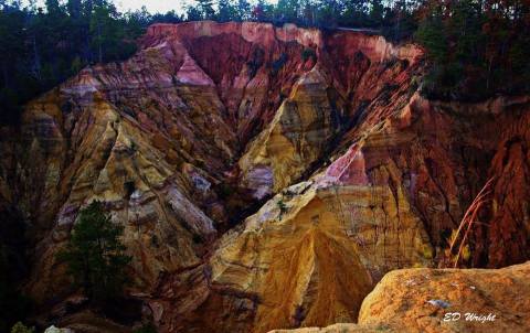 Here Are The 10 Most Incredible Natural Wonders In Mississippi
