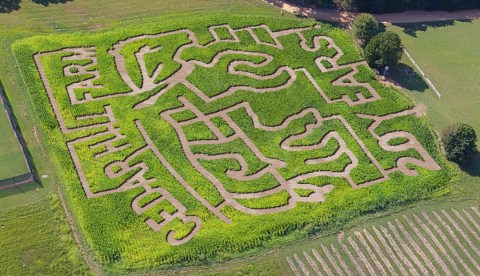 8 Awesome Corn Mazes In Mississippi You Have To Do This Fall