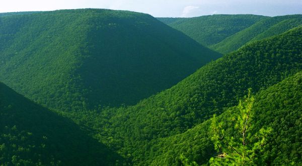 You’ll Be Blown Away By These 10 Amazing State Forests In Pennsylvania