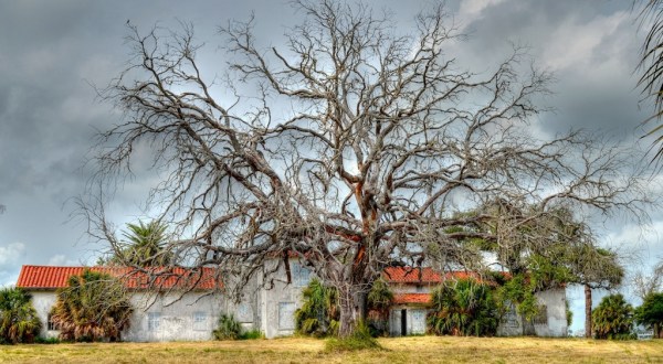 You’ll Never Believe What’s Hiding Inside The Walls Of This Abandoned Texas Mansion