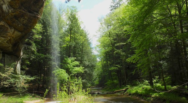 You’ll Be Blown Away By These 10 Amazing State Forests In Ohio