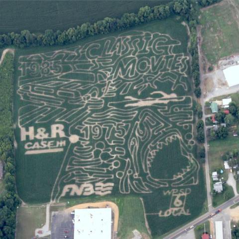 10 Awesome Corn Mazes In Kentucky You Have To Do This Fall