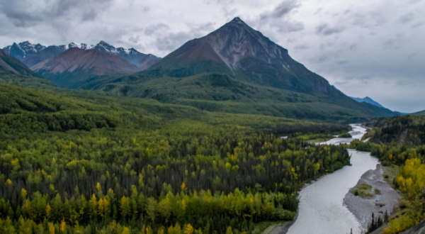 You’ll Be Blown Away By These Amazing State Forests In Alaska