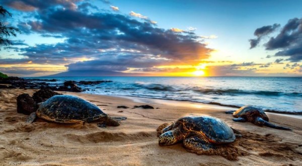What These 17 Hawaii Photographers Captured Will Blow You Away: Part Two