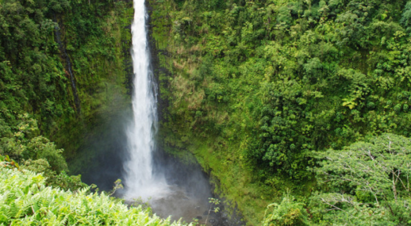 13 Undeniable Reasons Why The World Wouldn’t Be The Same Without Hawaii