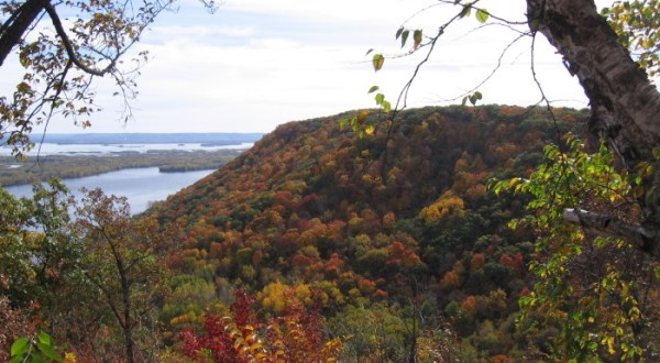 You’ll Be Blown Away By These 8 Amazing State Forests In Minnesota