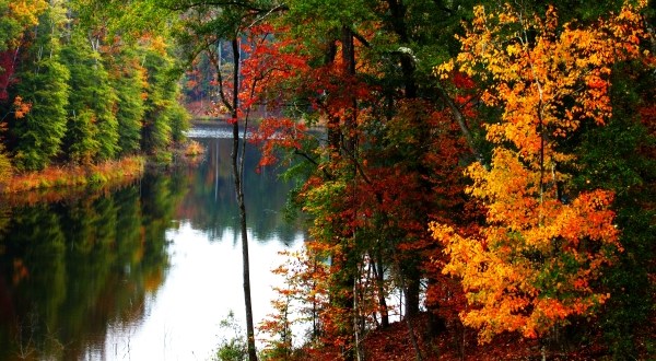 The Fall Foliage At These 12 State Parks In Mississippi Is Stunningly Beautiful