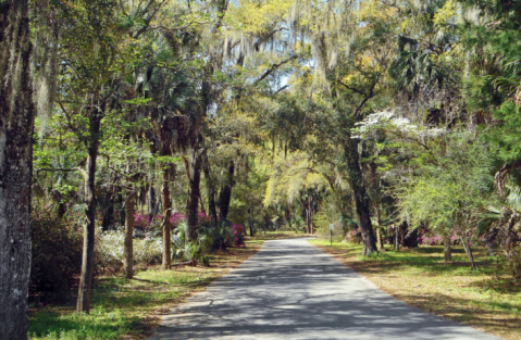 Don't Drive On These 6 Haunted Streets In Florida... Or You'll Regret It