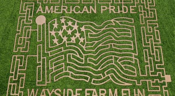 8 Awesome Corn Mazes In Virginia You Have To Do This Fall
