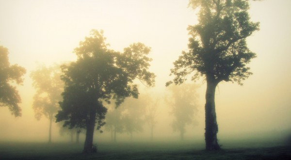 12 Eerie Shots In Kentucky That Are Spine-Tingling Yet Magical