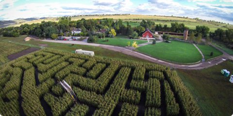10 Awesome Corn Mazes In Colorado You Have To Do This Fall