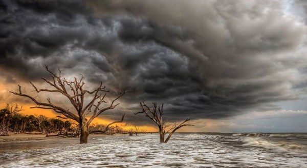What These 15 South Carolinian Photographers Captured Will Blow You Away – Part 4