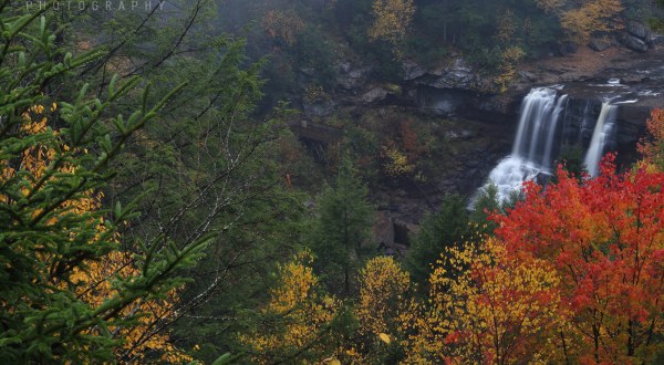 10 Things I Would Do Immediately If I Were Queen Of West Virginia