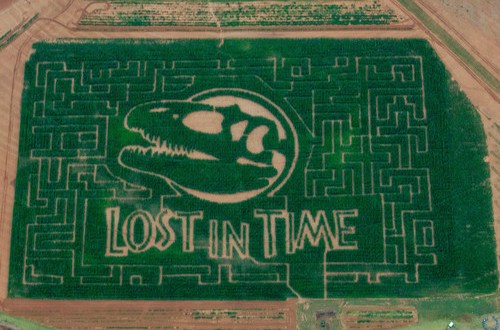 4 Awesome Corn Mazes In Oklahoma You Have To Do This Fall