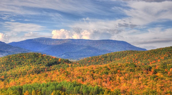 You’ll Be Blown Away By These 6 Amazing State Forests In West Virginia