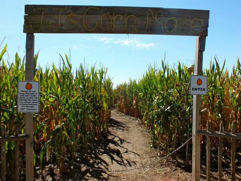 15 Awesome Corn Mazes In Nebraska You Have To Do This Fall