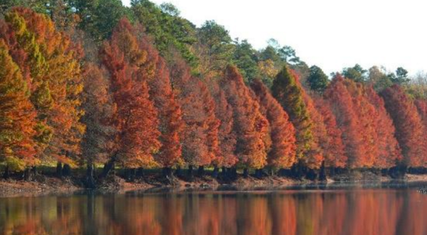 The Fall Foliage At These 8 State Parks In Nebraska Is Stunningly Beautiful