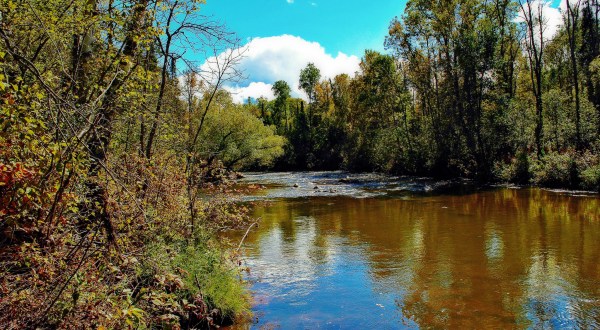 You’ll Be Blown Away By These 7 Amazing State Forests In Wisconsin