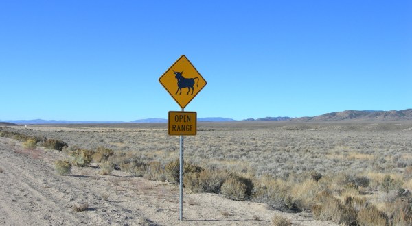 Here Are The 10 Biggest Risks Of Living In The State Of Nevada