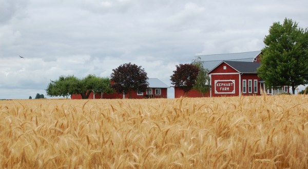 These 12 Charming Farms In Oregon Will Make You Love The Country