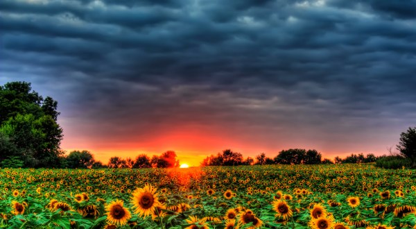 15 Reasons We Are Thankful For Living In Kansas