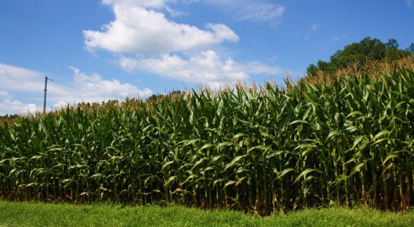 10 Corny Facts Only Someone From Indiana Would Appreciate