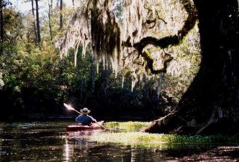 There's Something Incredible About These 16 Rivers In Florida