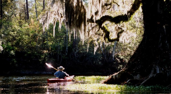There’s Something Incredible About These 16 Rivers In Florida