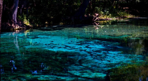 Here Are The 9 Most Incredible Natural Wonders In Florida